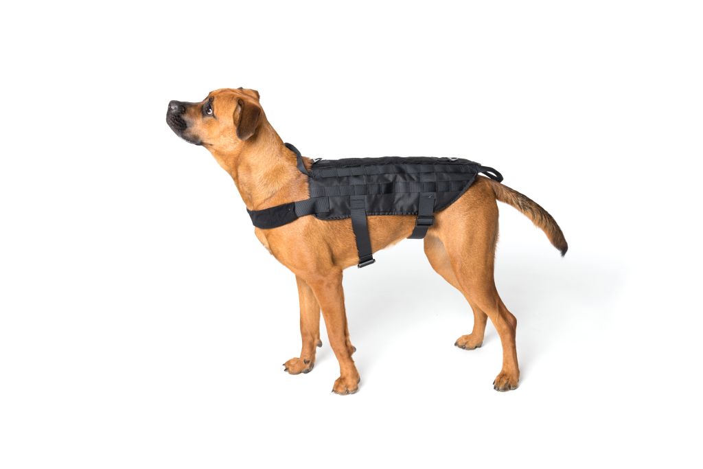 Gilet tattico per cani con sistema Molle