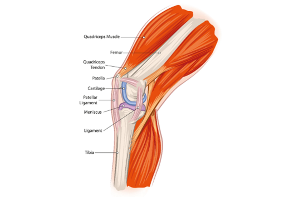 Genouillère / protège-genou élastique de soutien - noir-bleu